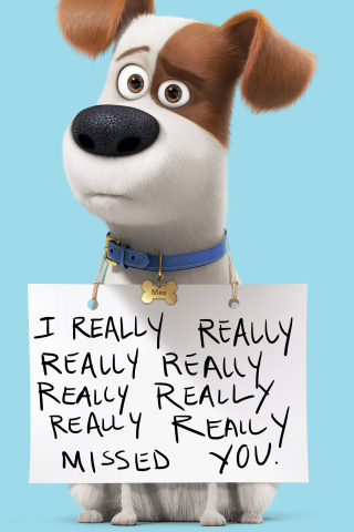 Das Max from The Secret Life of Pets Wallpaper 320x480