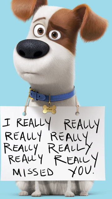 Обои Max from The Secret Life of Pets 360x640