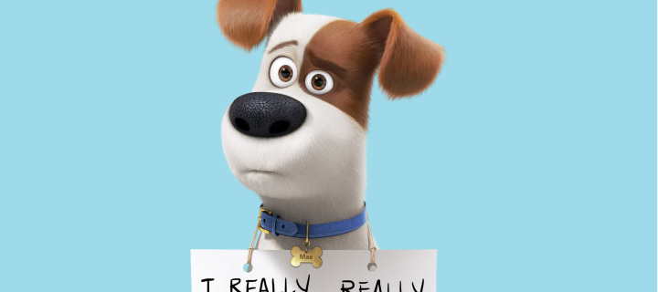 Das Max from The Secret Life of Pets Wallpaper 720x320