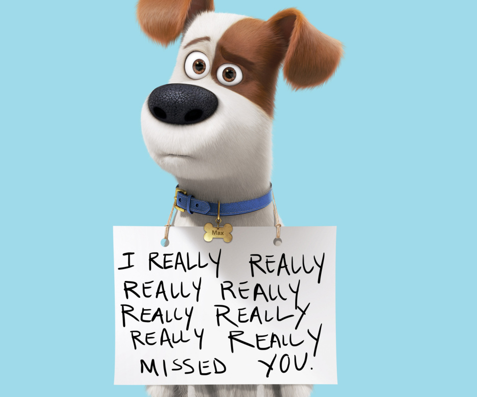 Обои Max from The Secret Life of Pets 960x800