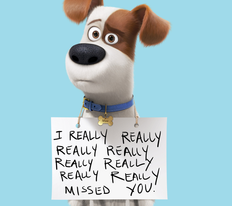 Max from The Secret Life of Pets wallpaper 960x854