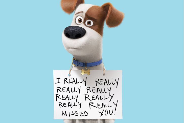 Max from The Secret Life of Pets wallpaper