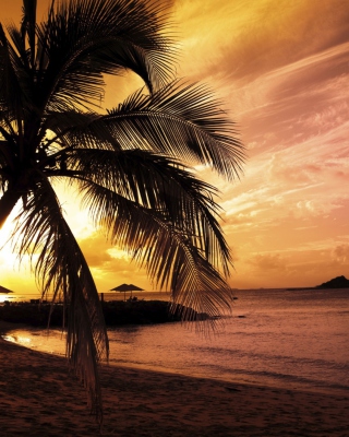 Sunset At The Bay - Fondos de pantalla gratis para Nokia 5530 XpressMusic
