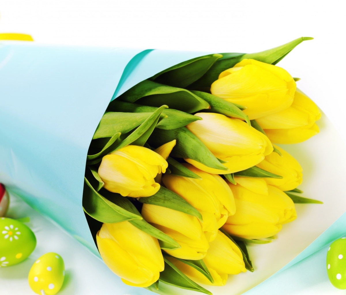 Fondo de pantalla Yellow Tulips 1200x1024