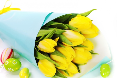 Das Yellow Tulips Wallpaper 480x320