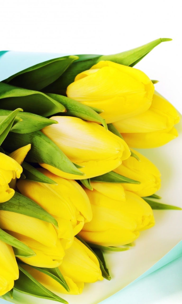 Fondo de pantalla Yellow Tulips 768x1280
