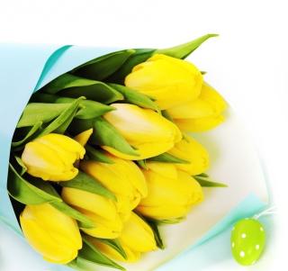 Kostenloses Yellow Tulips Wallpaper für 128x128