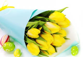 Free Yellow Tulips Picture for Android, iPhone and iPad
