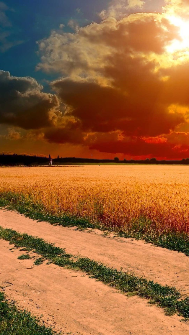 Das Field Sunset Wallpaper 640x1136
