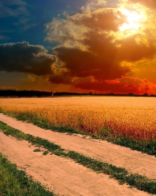 Field Sunset - Obrázkek zdarma pro Nokia X2