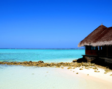 Screenshot №1 pro téma Best Mauritius Beach - La Preneuse 220x176