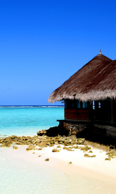 Screenshot №1 pro téma Best Mauritius Beach - La Preneuse 240x400