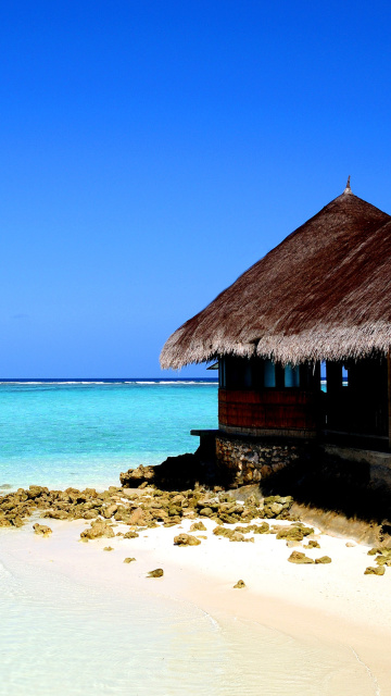 Sfondi Best Mauritius Beach - La Preneuse 360x640