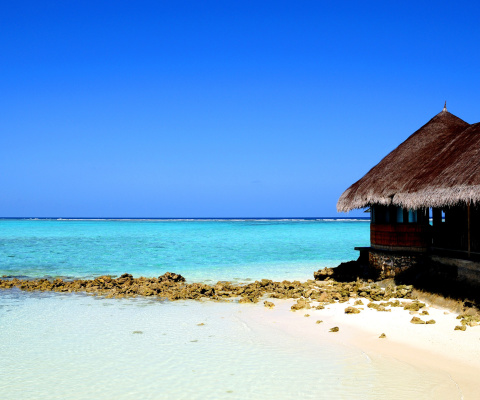 Best Mauritius Beach - La Preneuse screenshot #1 480x400