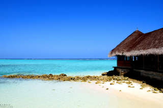 Best Mauritius Beach - La Preneuse - Obrázkek zdarma pro LG P970 Optimus