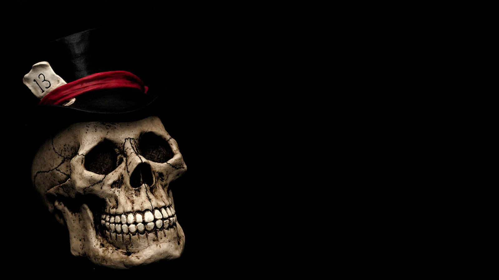 Lucky Skull wallpaper 1600x900