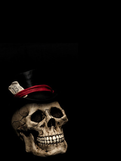 Screenshot №1 pro téma Lucky Skull 240x320