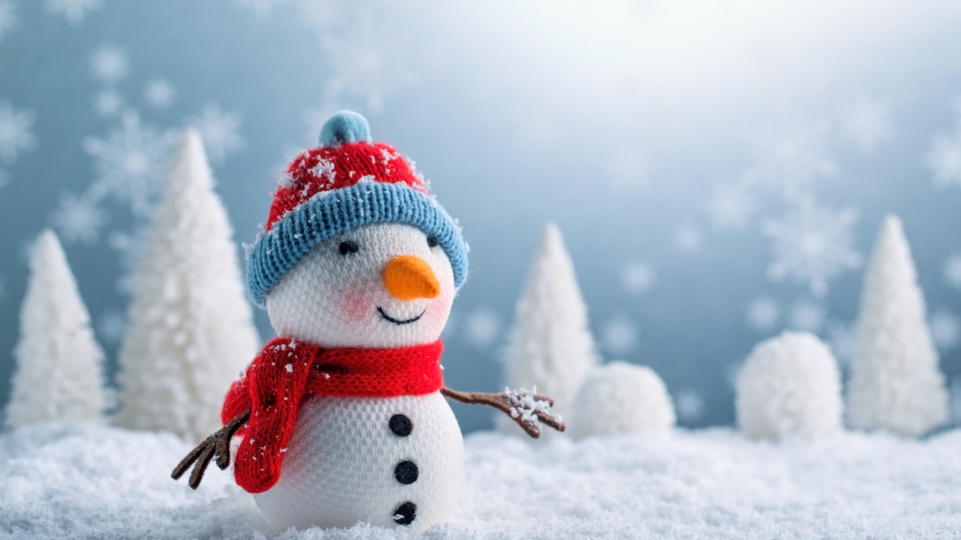 Обои Snowman 1366x768