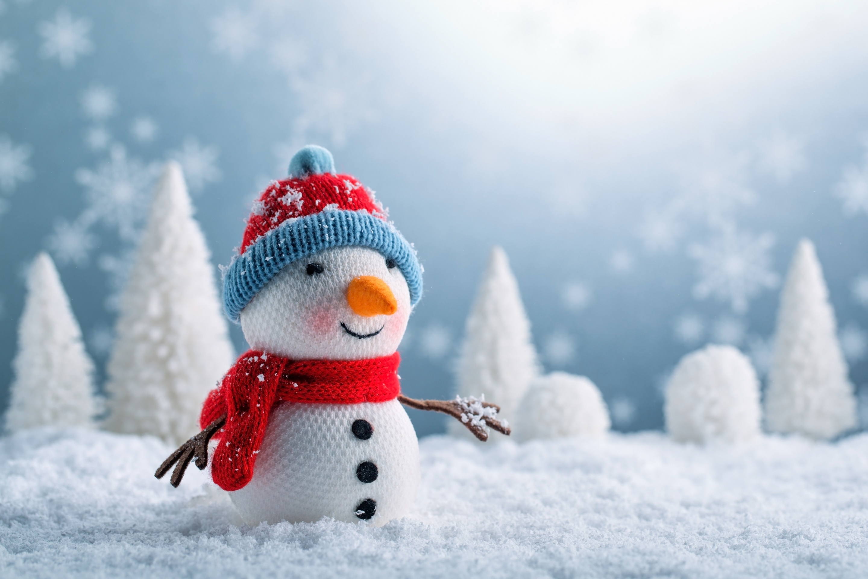 Snowman wallpaper 2880x1920