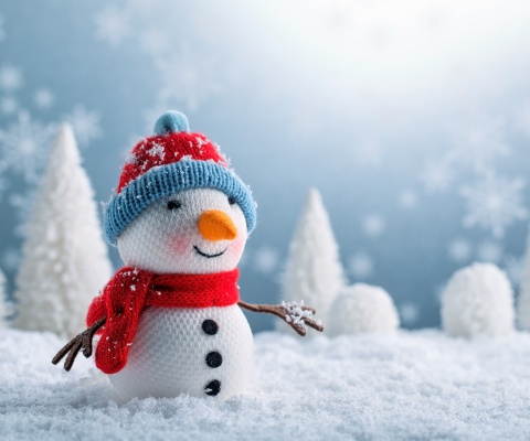 Snowman wallpaper 480x400