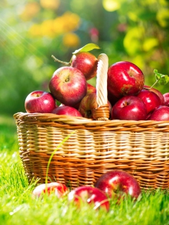 Fondo de pantalla Red Apples In Basket 240x320