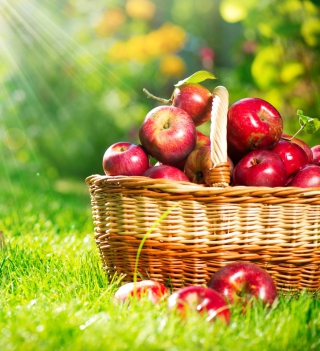 Red Apples In Basket - Obrázkek zdarma pro 128x128