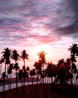 Jungle Sunset - Obrázkek zdarma pro Nokia X7
