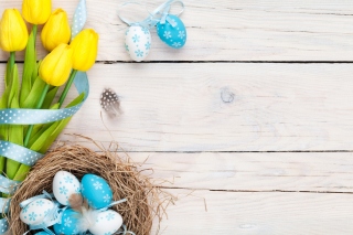 Kostenloses Easter Spring Tulips Wallpaper für Android, iPhone und iPad