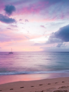 Twilight On The Beach wallpaper 240x320