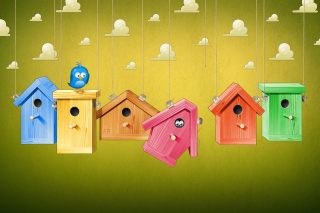 Blue Bird Picture for Android, iPhone and iPad