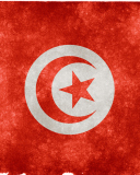 Tunisia Flag screenshot #1 128x160