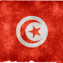 Das Tunisia Flag Wallpaper 208x208