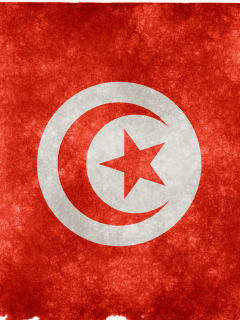 Обои Tunisia Flag 240x320