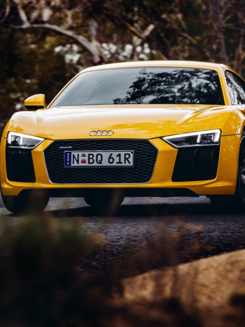 Audi R8 V10 Plus Yellow Body Color screenshot #1 480x640