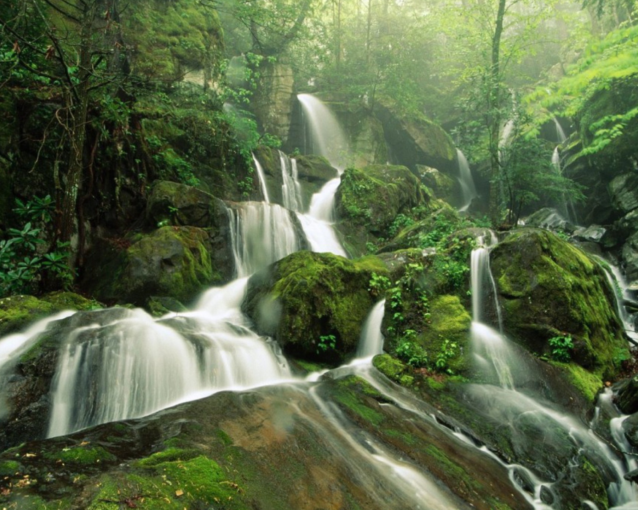 Screenshot №1 pro téma Tropical Forest Waterfall 1280x1024