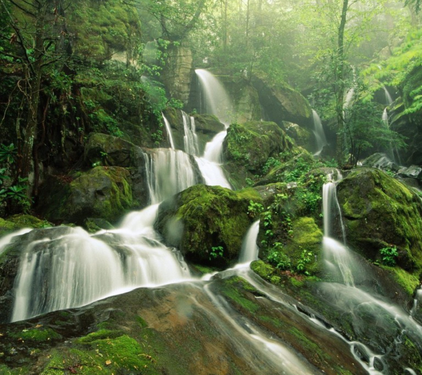 Screenshot №1 pro téma Tropical Forest Waterfall 1440x1280