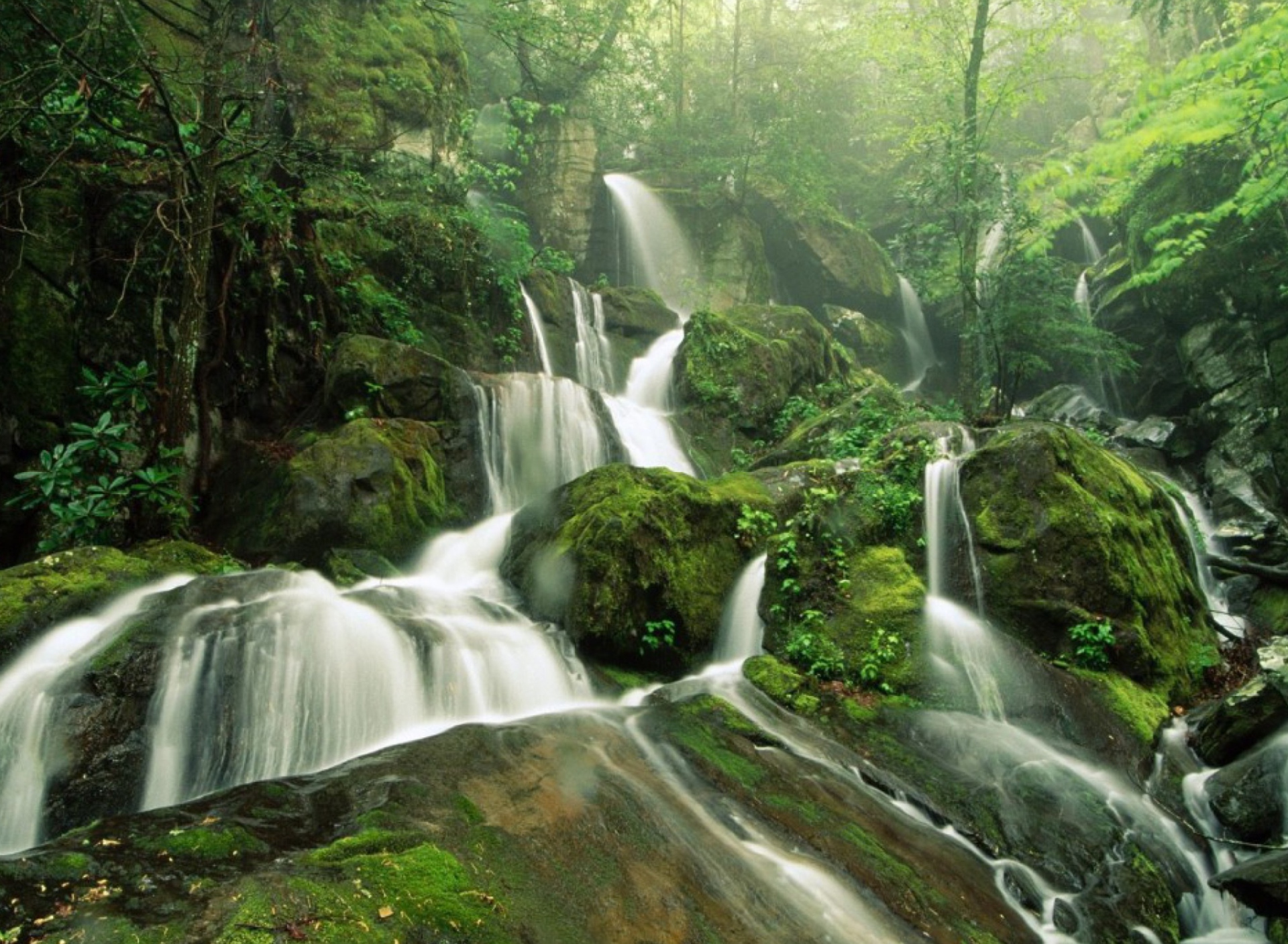 Screenshot №1 pro téma Tropical Forest Waterfall 1920x1408