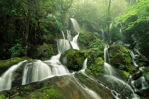 Fondo de pantalla Tropical Forest Waterfall 480x320