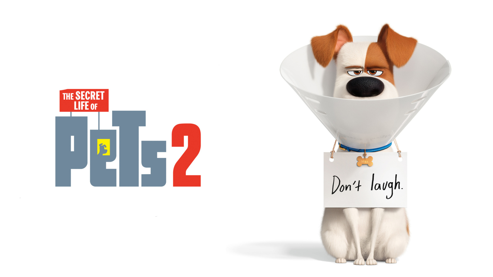 Screenshot №1 pro téma The Secret Life of Pets 2 Max 1600x900