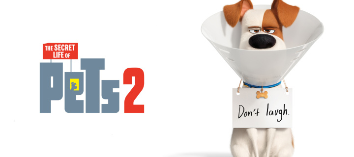 Das The Secret Life of Pets 2 Max Wallpaper 720x320