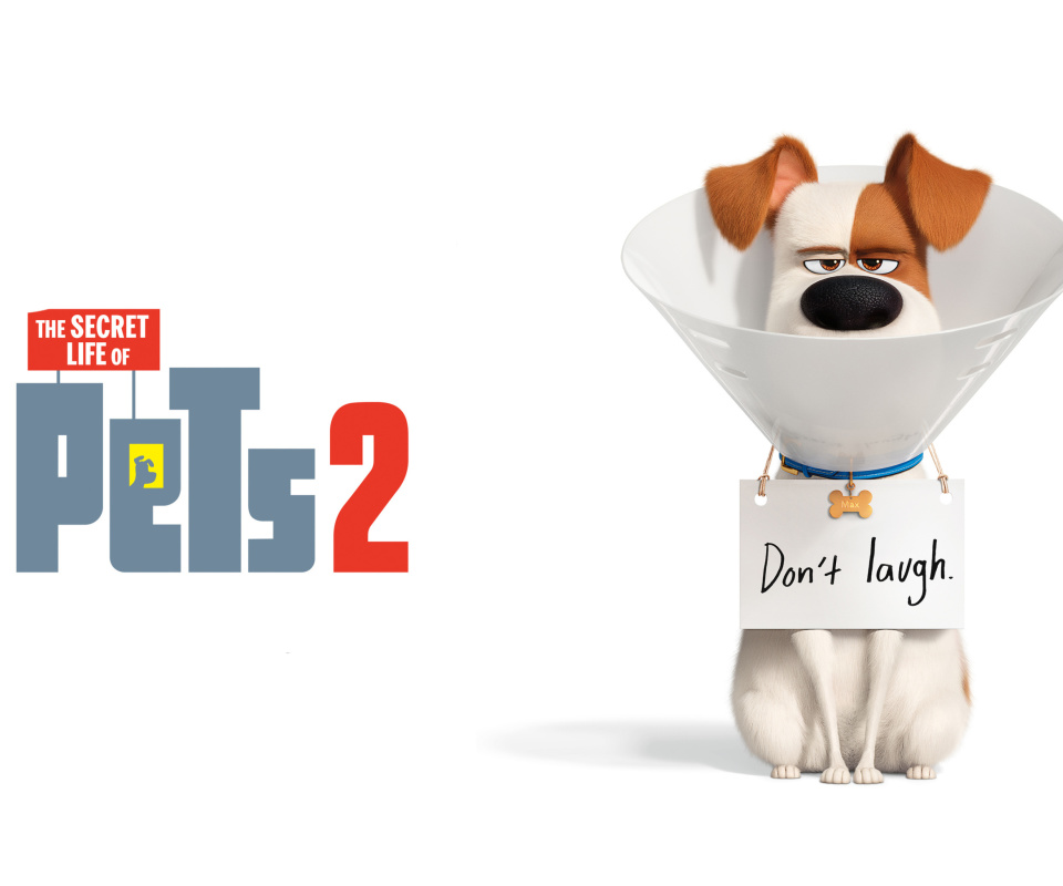 Das The Secret Life of Pets 2 Max Wallpaper 960x800