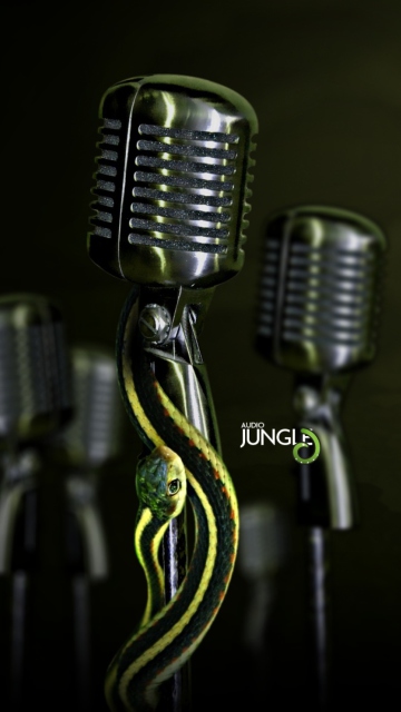 Sfondi Snake Audio Jungle 360x640