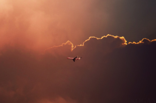 Airplane In Red Sky Above Clouds - Obrázkek zdarma pro Samsung Galaxy Tab 4G LTE