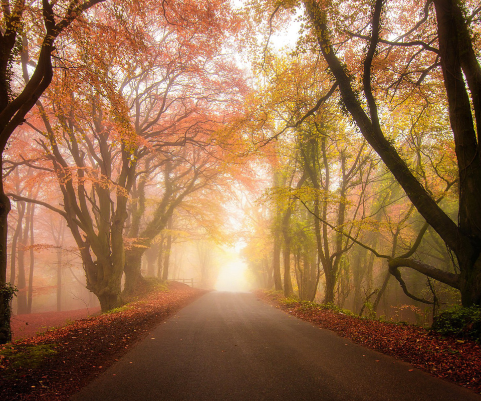 Screenshot №1 pro téma Foggy Road 960x800