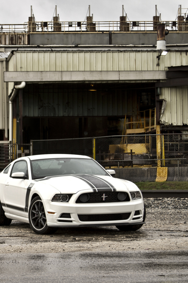 Screenshot №1 pro téma Ford Mustang Boss 302 640x960