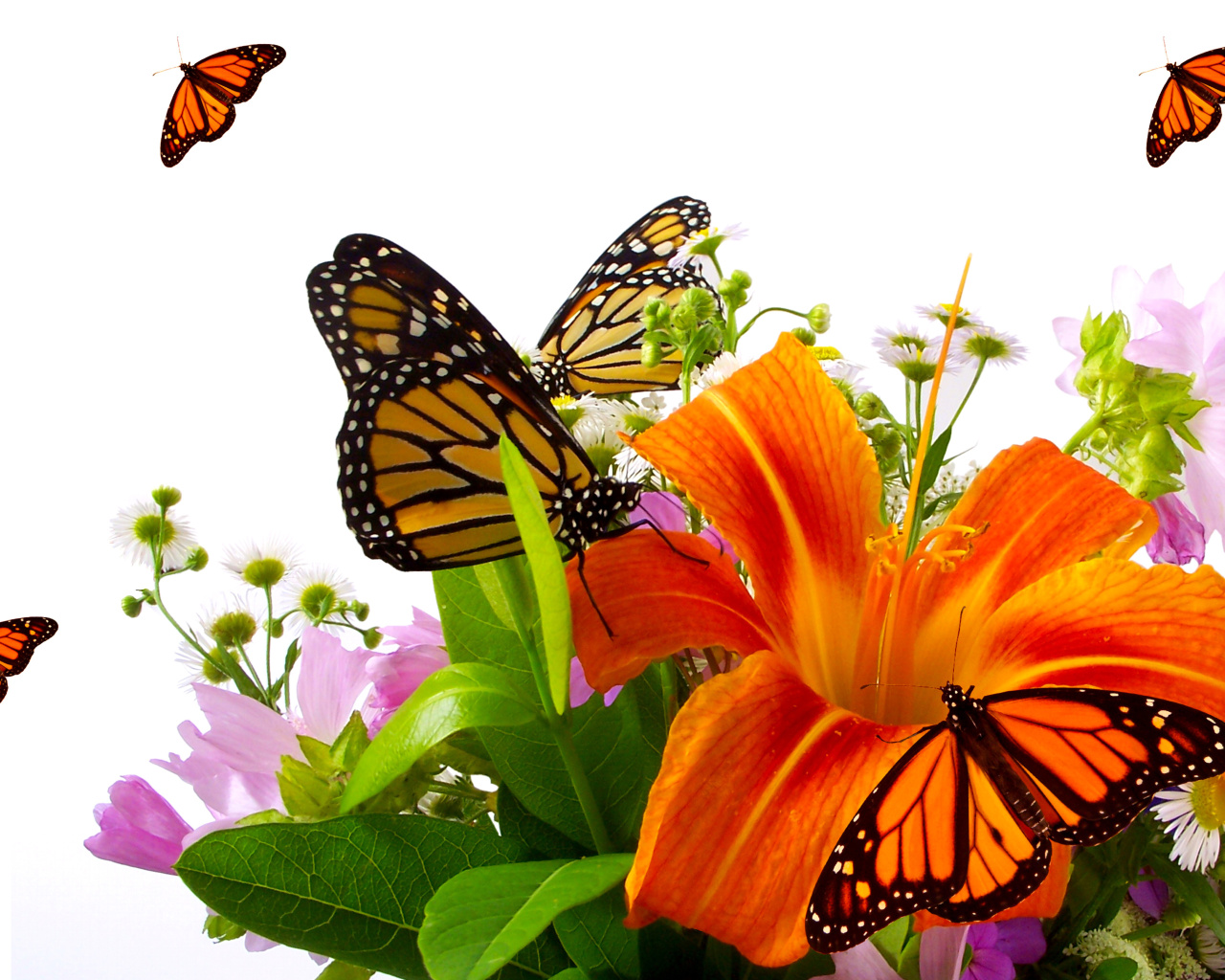 Das Lilies and orange butterflies Wallpaper 1280x1024