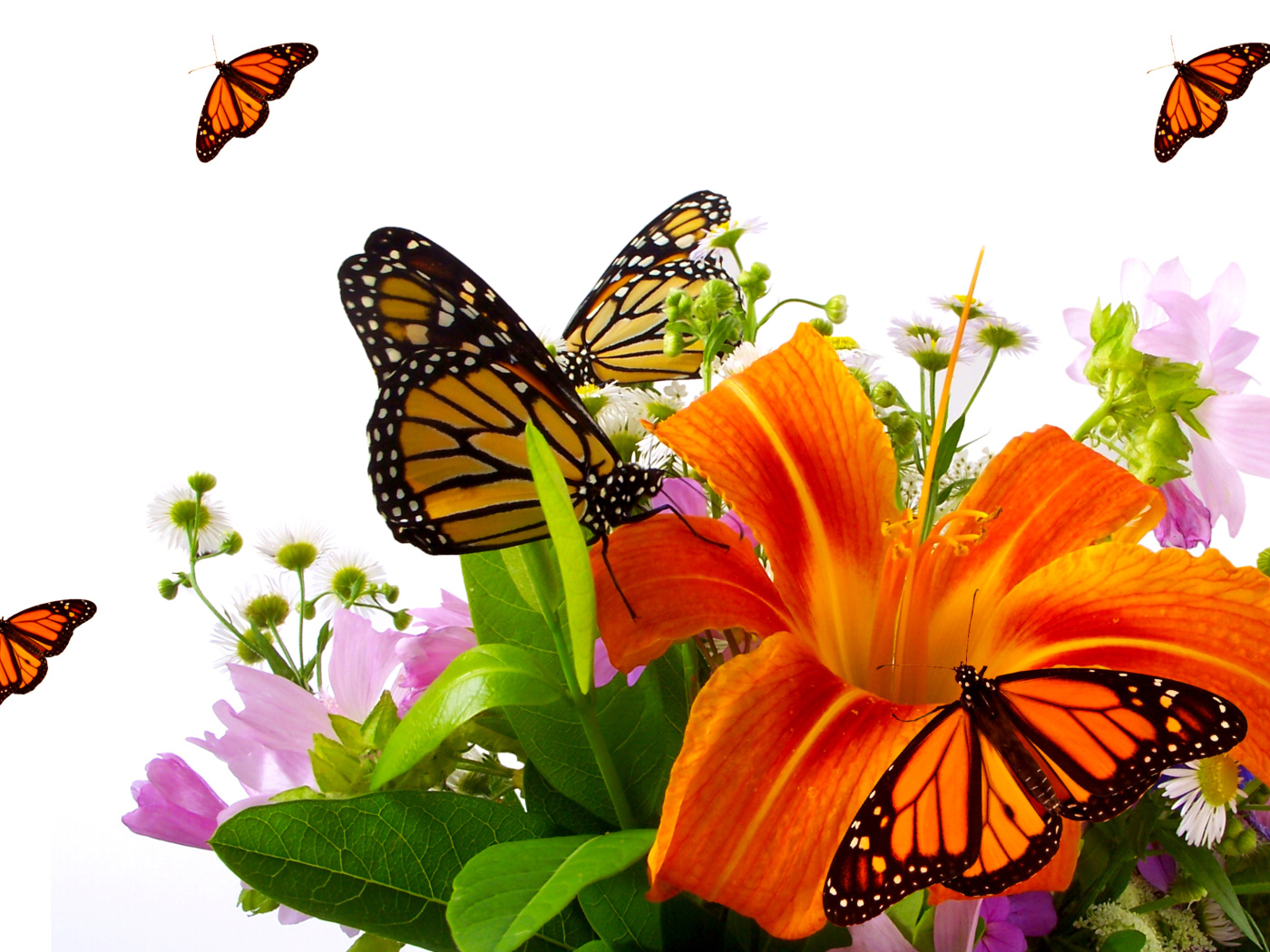 Screenshot №1 pro téma Lilies and orange butterflies 1400x1050