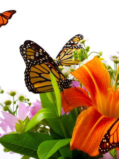 Fondo de pantalla Lilies and orange butterflies 240x320