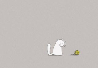 Curious Kitty - Obrázkek zdarma pro 1600x900
