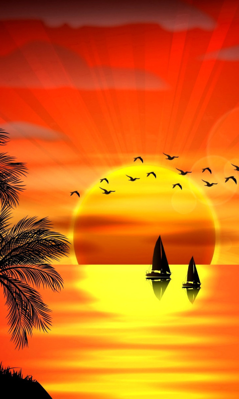 Beautiful Sunset wallpaper 480x800